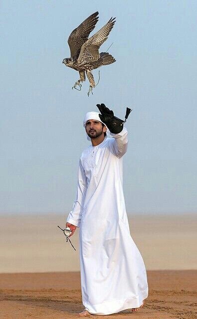 Arab falconery