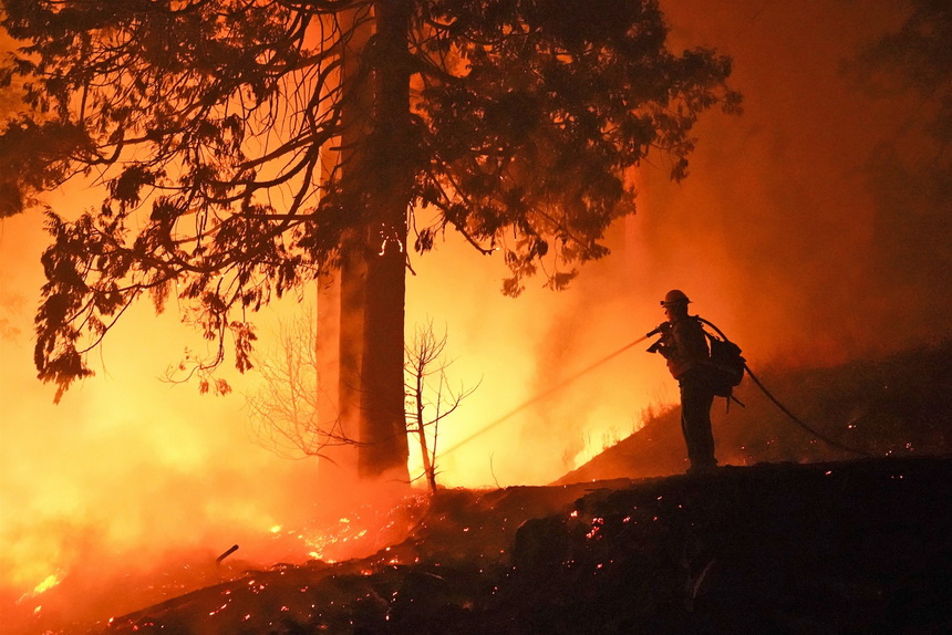 Forest fire fighter, California, earlier this week